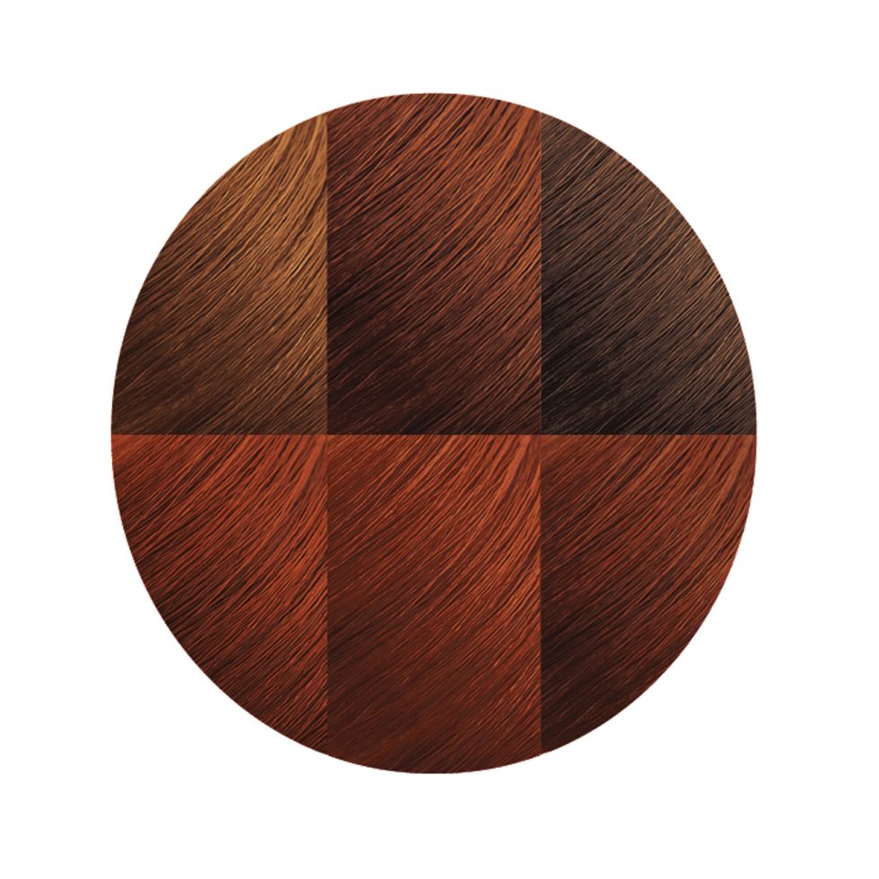 Exotic Shine™ Color with Argan Oil from Morocco 7.64 Bronze Copper