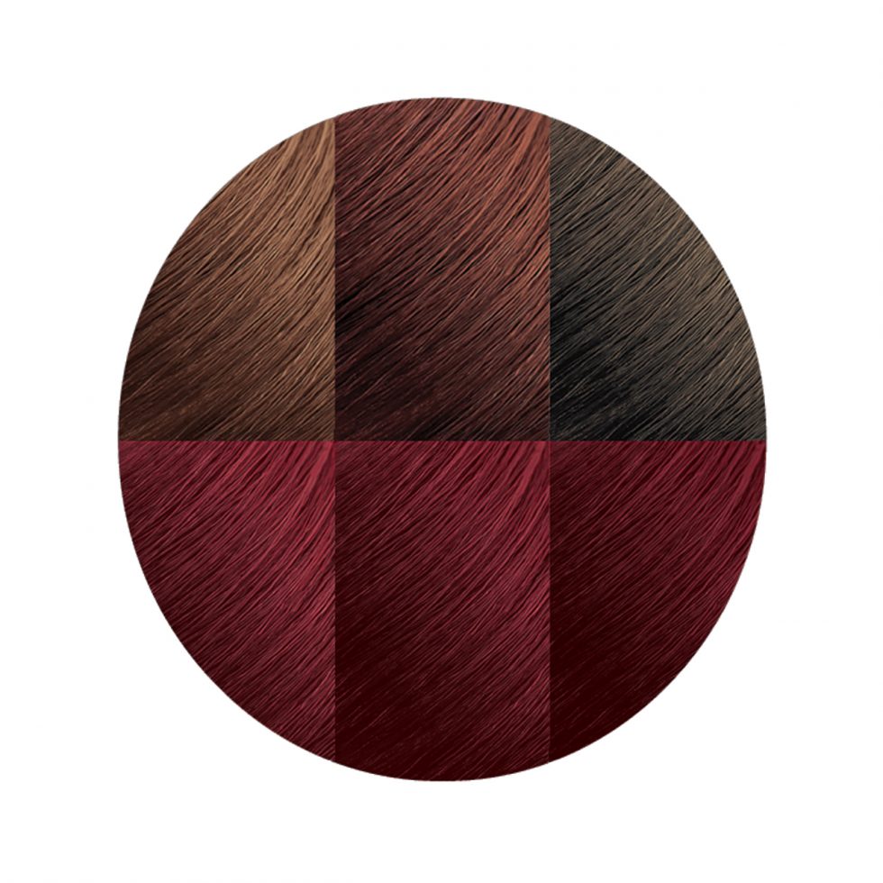 Exotic Shine™ Color with Argan Oil from Morocco 6.2 Burgundy Blaze