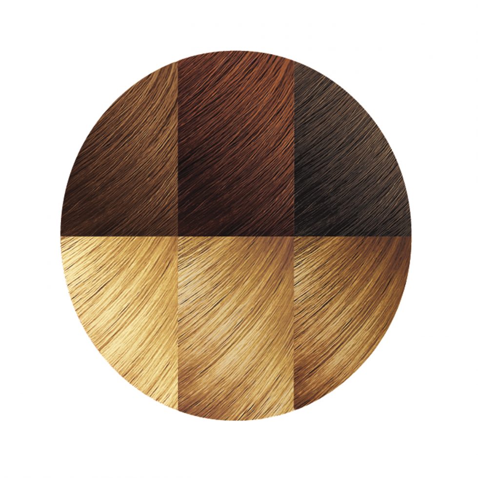 Exotic Shine™ Color with Argan Oil from Morocco 10.01 Ginger Blonde