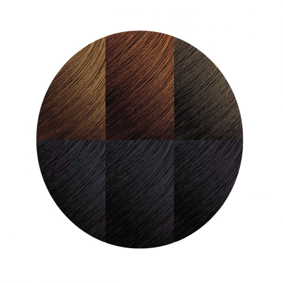 Exotic Shine™ Color with Argan Oil from Morocco 1.0 Intense Black