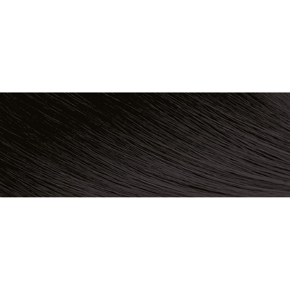 Exotic Shine™ Color with Argan Oil from Morocco 1.0 Intense Black