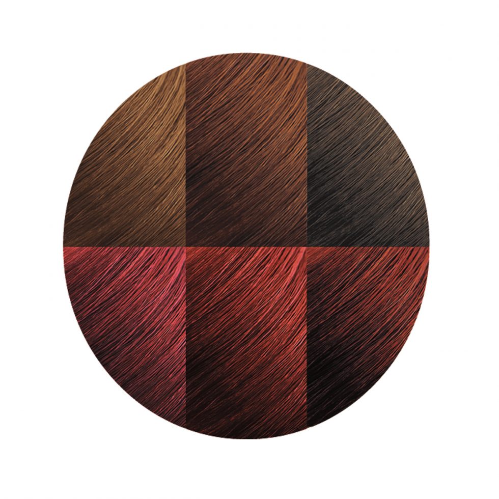 Exotic Shine™ Color with Argan Oil from Morocco 7.6 Intensive Red