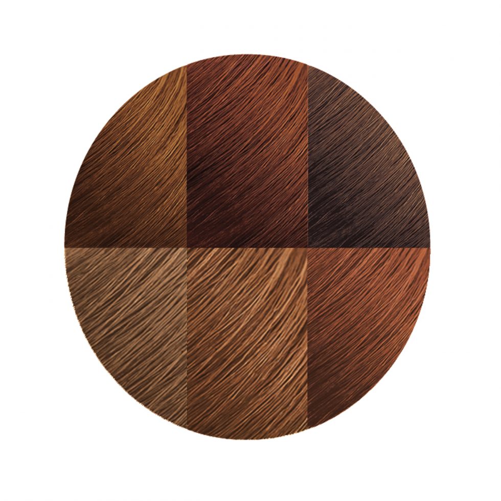 Exotic Shine™ Color with Argan Oil from Morocco 7.3 Medium Warm Brown