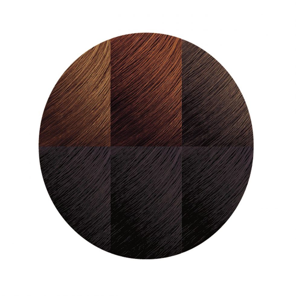 Exotic Shine™ Color with Argan Oil from Morocco 3.0 Soft Black