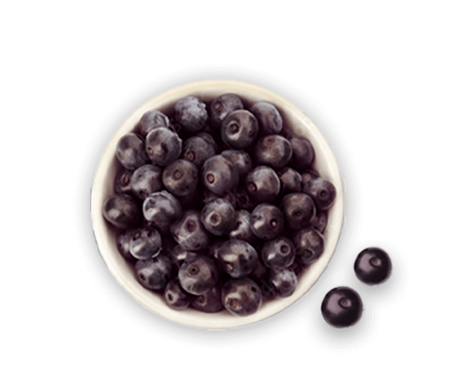 Acai Berry